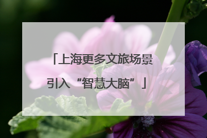 上海更多文旅场景引入“智慧大脑”