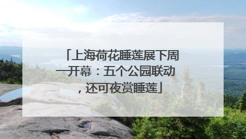 上海荷花睡莲展下周一开幕：五个公园联动，还可夜赏睡莲