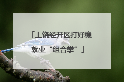上饶经开区打好稳就业“组合拳”