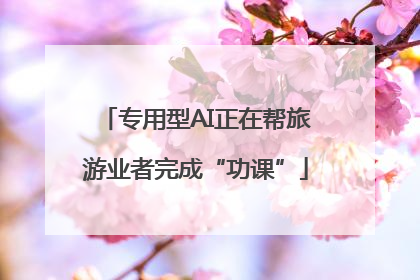 专用型AI正在帮旅游业者完成“功课”