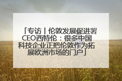 专访丨伦敦发展促进署CEO西特伦：很多中国科技企业正把伦敦作为拓展欧洲市场的门户