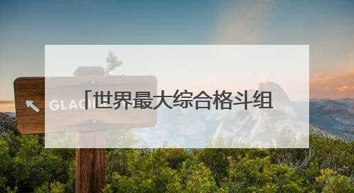 世界最大综合格斗组织重启上海站 UFC格斗之夜8月上演