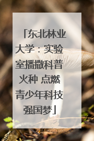 东北林业大学：实验室播撒科普火种 点燃青少年科技强国梦
