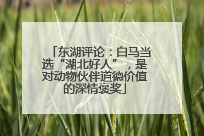 东湖评论：白马当选“湖北好人”，是对动物伙伴道德价值的深情褒奖
