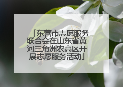 东营市志愿服务联合会在山东省黄河三角洲农高区开展志愿服务活动