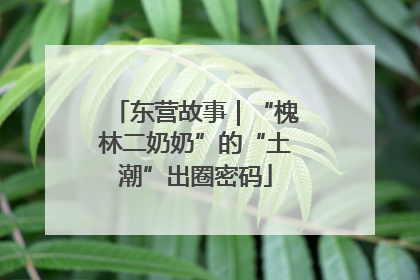 东营故事｜“槐林二奶奶”的“土潮”出圈密码