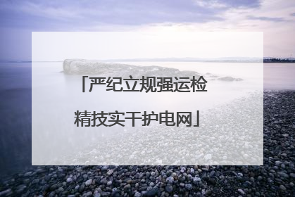 严纪立规强运检 精技实干护电网