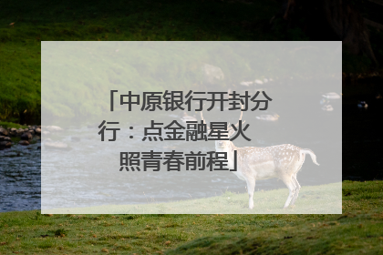 中原银行开封分行：点金融星火 照青春前程