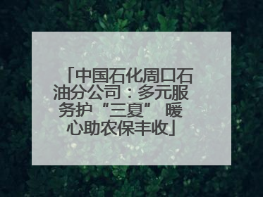 中国石化周口石油分公司：多元服务护“三夏” 暖心助农保丰收