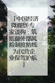 中国经济微观察·专家谈构：筑抵御外部风险制度防线 为民营企业保驾护航