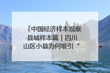 中国经济样本观察·县域样本篇｜四川山区小县为何吸引“村播”扎堆？