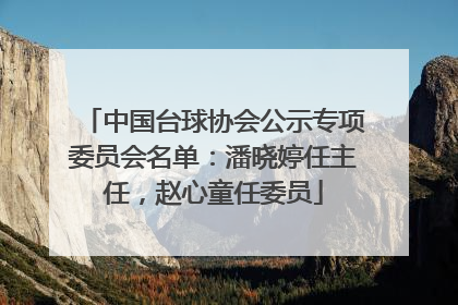 中国台球协会公示专项委员会名单：潘晓婷任主任，赵心童任委员