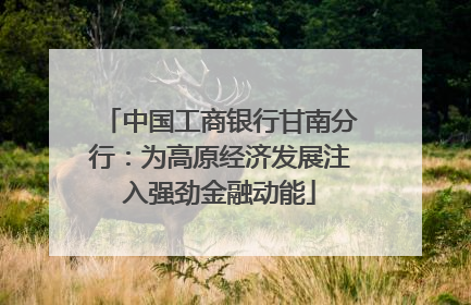 中国工商银行甘南分行：为高原经济发展注入强劲金融动能