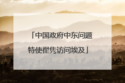 中国政府中东问题特使翟隽访问埃及