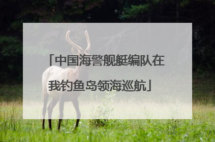 中国海警舰艇编队在我钓鱼岛领海巡航