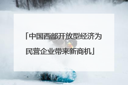 中国西部开放型经济为民营企业带来新商机