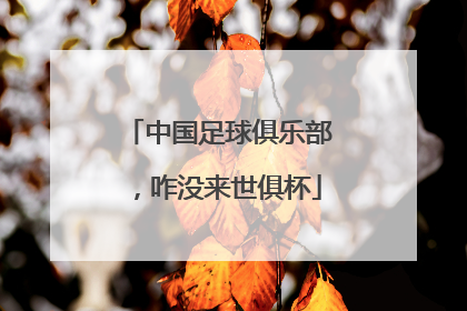 中国足球俱乐部，咋没来世俱杯