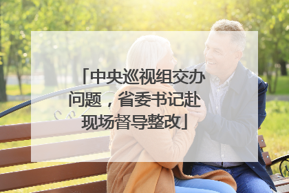 中央巡视组交办问题，省委书记赴现场督导整改