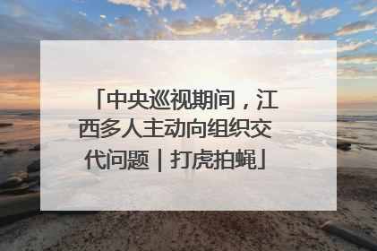 中央巡视期间，江西多人主动向组织交代问题｜打虎拍蝇