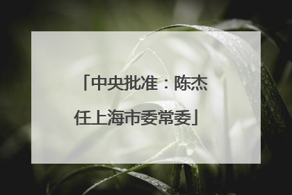 中央批准：陈杰任上海市委常委