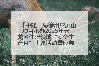 中建一局徐州翠屏山项目承办2025年云龙区住建领域“安全生产月”主题活动暨应急救援演练观摩会