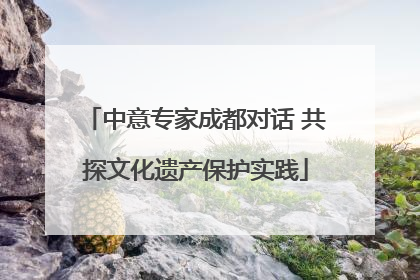 中意专家成都对话 共探文化遗产保护实践
