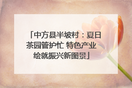 中方县半坡村：夏日茶园管护忙 特色产业绘就振兴新图景