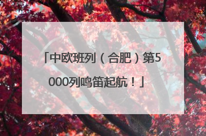 中欧班列（合肥）第5000列鸣笛起航！