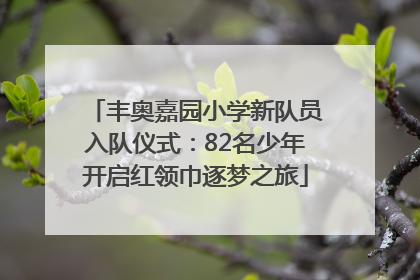 丰奥嘉园小学新队员入队仪式：82名少年开启红领巾逐梦之旅
