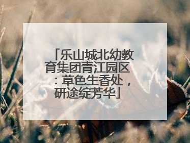 乐山城北幼教育集团青江园区：草色生香处，研途绽芳华