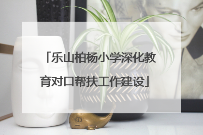 乐山柏杨小学深化教育对口帮扶工作建设