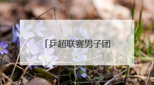 乒超联赛男子团体｜上海地产集团胜汕头明润