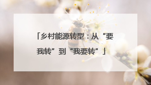 乡村能源转型：从“要我转”到“我要转”