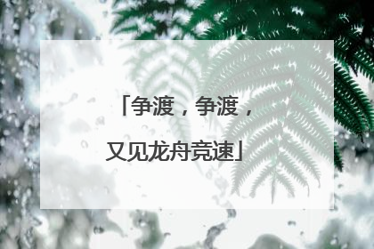 争渡，争渡，又见龙舟竞速