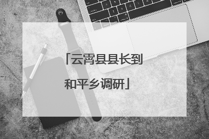 云霄县县长到和平乡调研