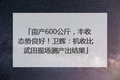 亩产600公斤，丰收态势良好！卫辉：机收比武田现场测产出结果
