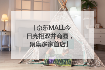 京东MALL今日亮相双井商圈，聚集多家首店