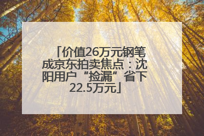 价值26万元钢笔成京东拍卖焦点：沈阳用户“捡漏”省下22.5万元