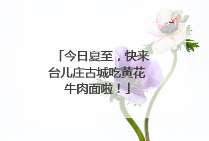 今日夏至，快来台儿庄古城吃黄花牛肉面啦！