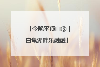 今晚平顶山⑥｜白龟湖畔乐融融