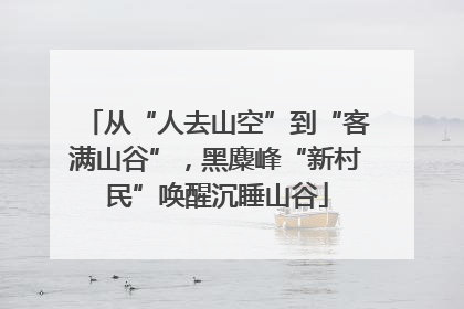 从“人去山空”到“客满山谷”，黑麋峰“新村民”唤醒沉睡山谷