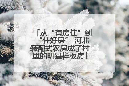从“有房住”到“住好房” 河北装配式农房成了村里的明星样板房