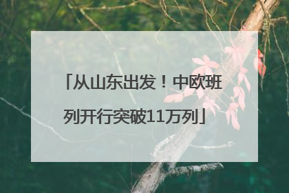 从山东出发！中欧班列开行突破11万列