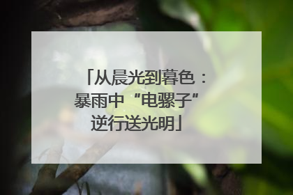 从晨光到暮色：暴雨中“电骡子”逆行送光明