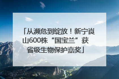 从濒危到绽放！新宁崀山600株“国宝兰”获省级生物保护嘉奖