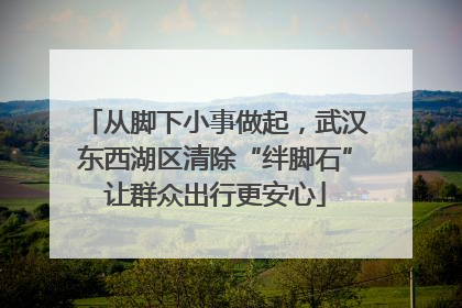 从脚下小事做起，武汉东西湖区清除“绊脚石”让群众出行更安心