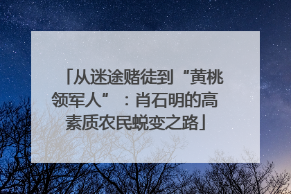 从迷途赌徒到“黄桃领军人”：肖石明的高素质农民蜕变之路