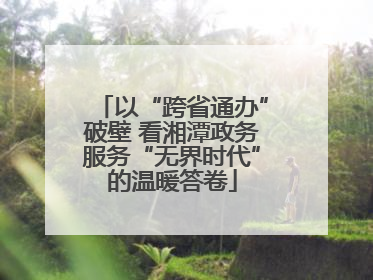 以“跨省通办”破壁 看湘潭政务服务“无界时代”的温暖答卷