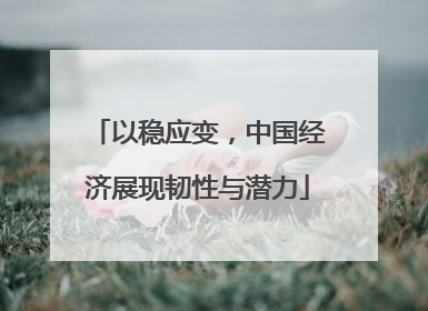 以稳应变，中国经济展现韧性与潜力