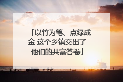 以竹为笔、点绿成金 这个乡镇交出了他们的共富答卷